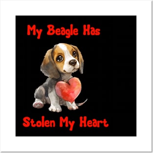 My Beagle Has Stolen My Heart Posters and Art
